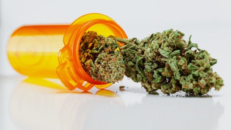 Learn The Major Advantageous Sides Of Marijuana