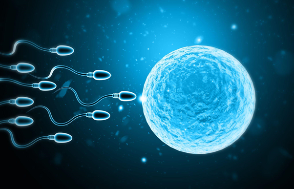 Infertility and Their Signs and Symptoms That We All Need to Know