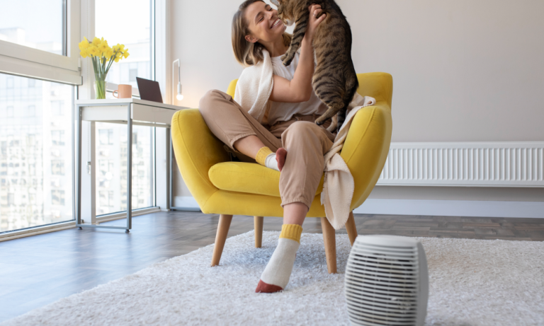 Best Pet Air Purifier