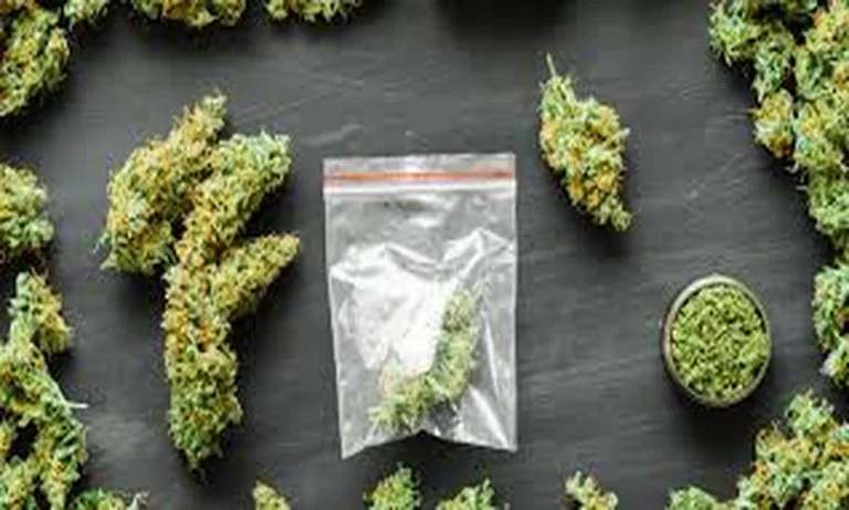 Top THCA Brands Ranked by Lab Transparency, Not Marketing Budget